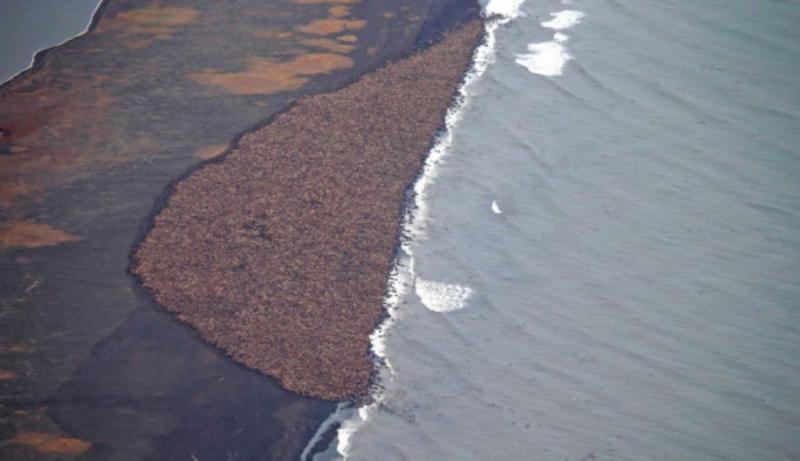 post-84769-0-92483700-1441371227_thumb.j