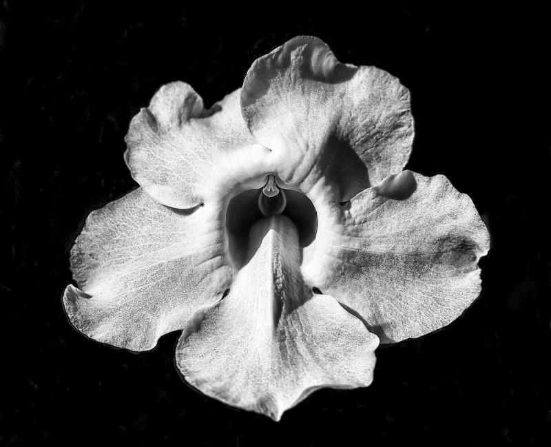 post-93078-0-35527100-1442191631_thumb.j