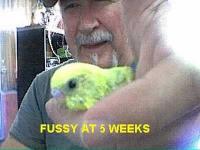 post-69852-1224307468_thumb.jpg