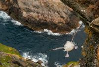 post-18822-061893300 1286200999_thumb.jp