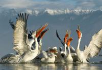 post-18822-086822100 1286201015_thumb.jp