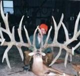 post-46648-052705500 1286332432_thumb.jp