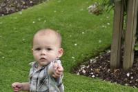 post-47878-0-98680600-1288569543_thumb.j