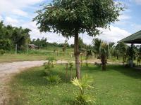 post-72121-004863300 1287395320_thumb.jp