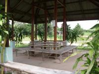 post-72121-010814700 1287395481_thumb.jp