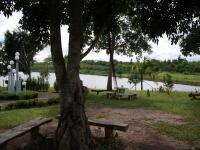 post-72121-023531800 1287395546_thumb.jp