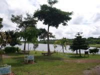 post-72121-055177100 1287395236_thumb.jp