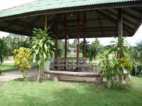 post-72121-060965800 1287395525_thumb.jp