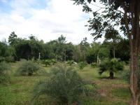 post-72121-098209300 1287395288_thumb.jp