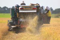 post-85461-0-75670500-1288534078_thumb.j