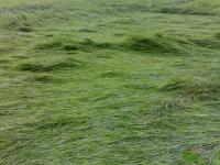 post-91169-003094100 1288084428_thumb.jp