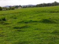 post-91169-008776600 1288084375_thumb.jp