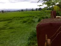 post-91169-081041200 1288084476_thumb.jp