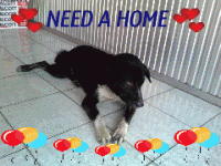 post-99171-007746500 1286437022_thumb.gi