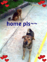 post-99171-019152300 1286350790_thumb.gi
