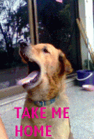 post-99171-068690100 1286350763_thumb.gi