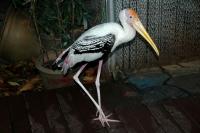 post-137828-0-62497400-1317837832_thumb.