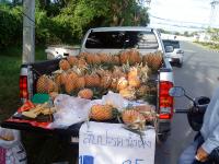 post-46350-0-11417700-1318730112_thumb.j