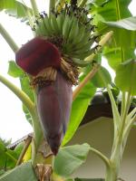 post-46350-0-90114100-1318730188_thumb.j