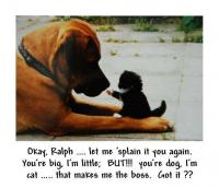 post-46648-0-18578800-1319244364_thumb.j