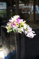 post-62520-0-03369500-1318149979_thumb.j