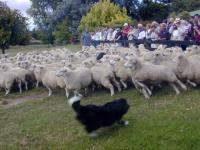 post-6925-0-02488600-1319781923_thumb.jp