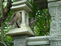 DSC06119.JPG