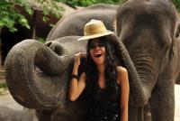 post-91669-0-70438300-1318833511_thumb.j