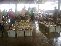 post-104736-0-61569200-1350421680_thumb.