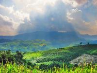 post-118979-0-57157300-1349414462_thumb.