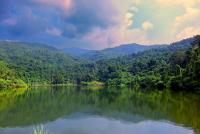 post-118979-0-84951400-1349272598_thumb.