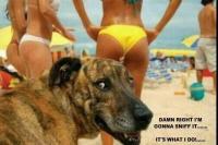 post-148604-0-61471500-1349430568_thumb.