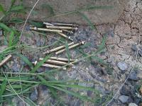 post-14979-0-99613200-1349351555_thumb.j