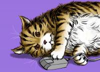 post-152992-0-64469800-1350487280_thumb.