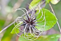 post-16612-0-17759900-1351360040_thumb.j