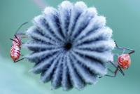 post-16612-0-27558700-1351359949_thumb.j