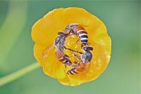 post-16612-0-61059300-1351360002_thumb.j