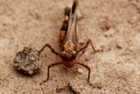 post-16612-0-62495800-1351359887_thumb.j