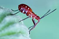 post-16612-0-81418300-1351359970_thumb.j