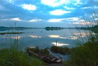 post-1983-0-04671900-1349916339_thumb.jp