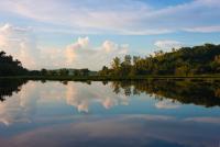 post-1983-0-34124500-1349444090_thumb.jp