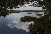 post-1983-0-46558100-1351054584_thumb.jp