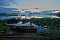 post-1983-0-88519000-1349440912_thumb.jp