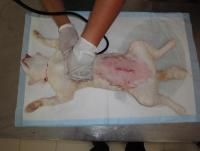 post-42592-0-36591300-1350395370_thumb.j