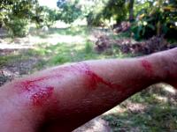 post-498-0-56913300-1351073535_thumb.jpg