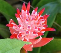 post-62520-0-09039300-1349581782_thumb.j