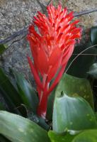 post-62520-0-11141000-1349581688_thumb.j