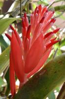 post-62520-0-23052600-1349581765_thumb.j