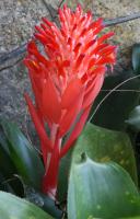 post-62520-0-64020600-1349581719_thumb.j