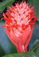 post-62520-0-84470700-1349581803_thumb.j